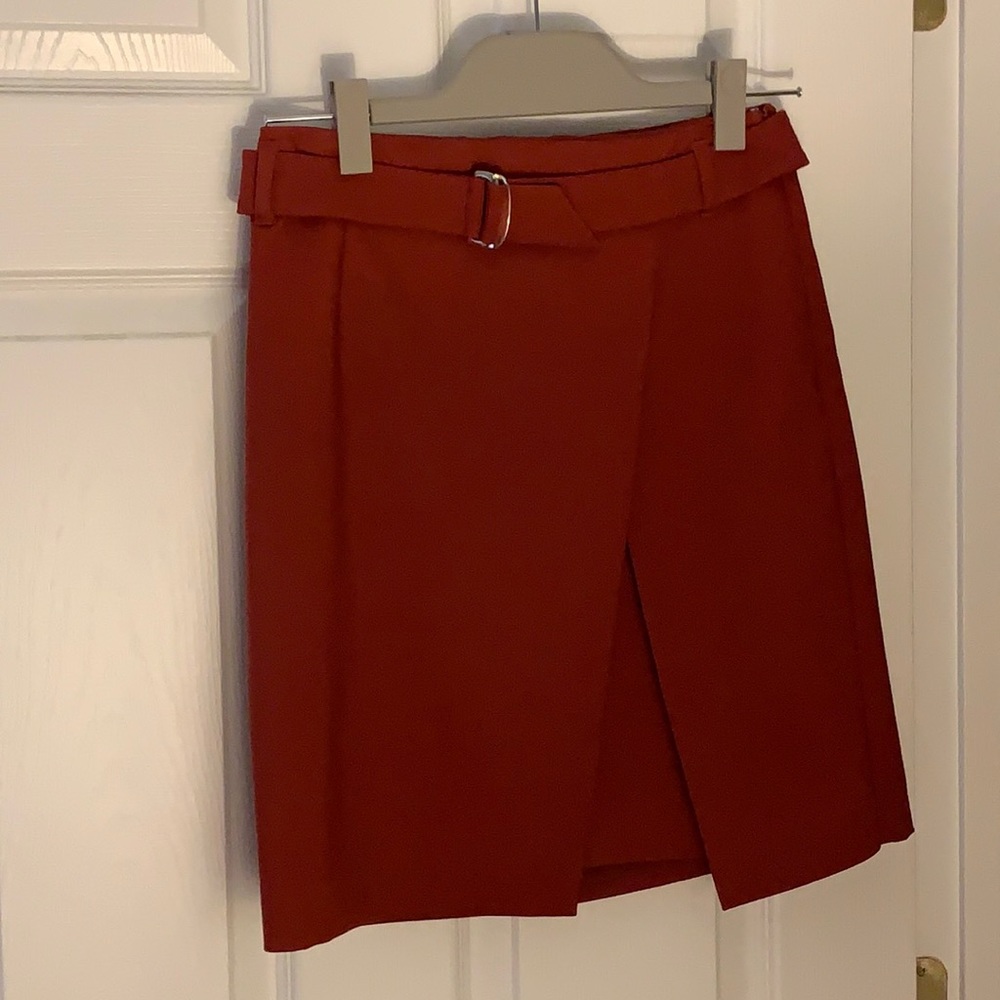 Fabulous rust colored skirt
